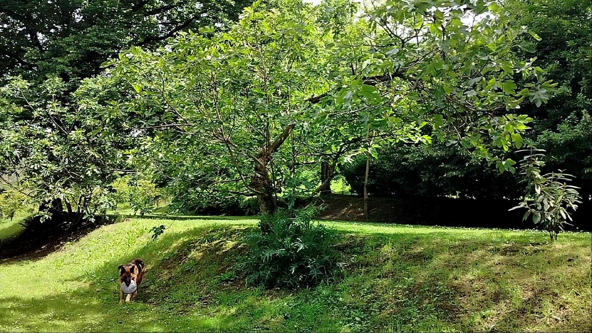seconda piana a valle salendo la strada di ingresso