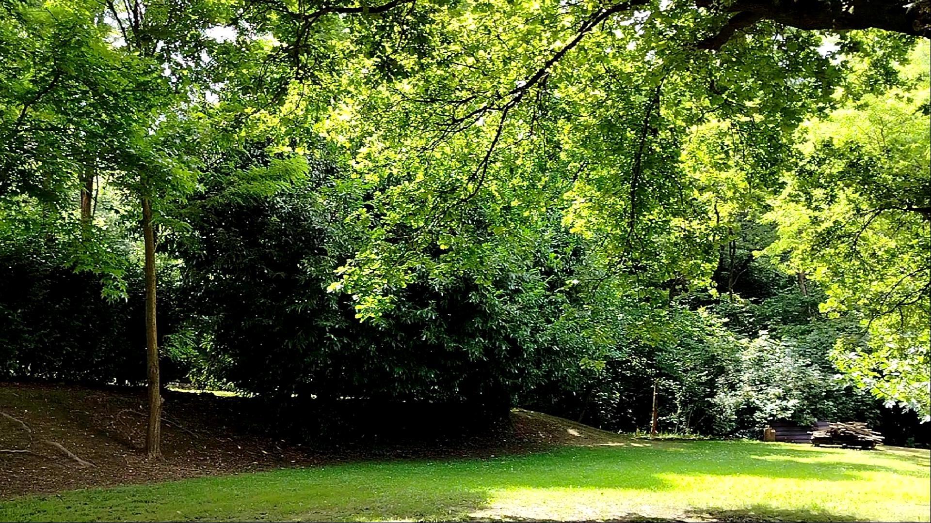 terza piana a valle salendo la strada di ingresso