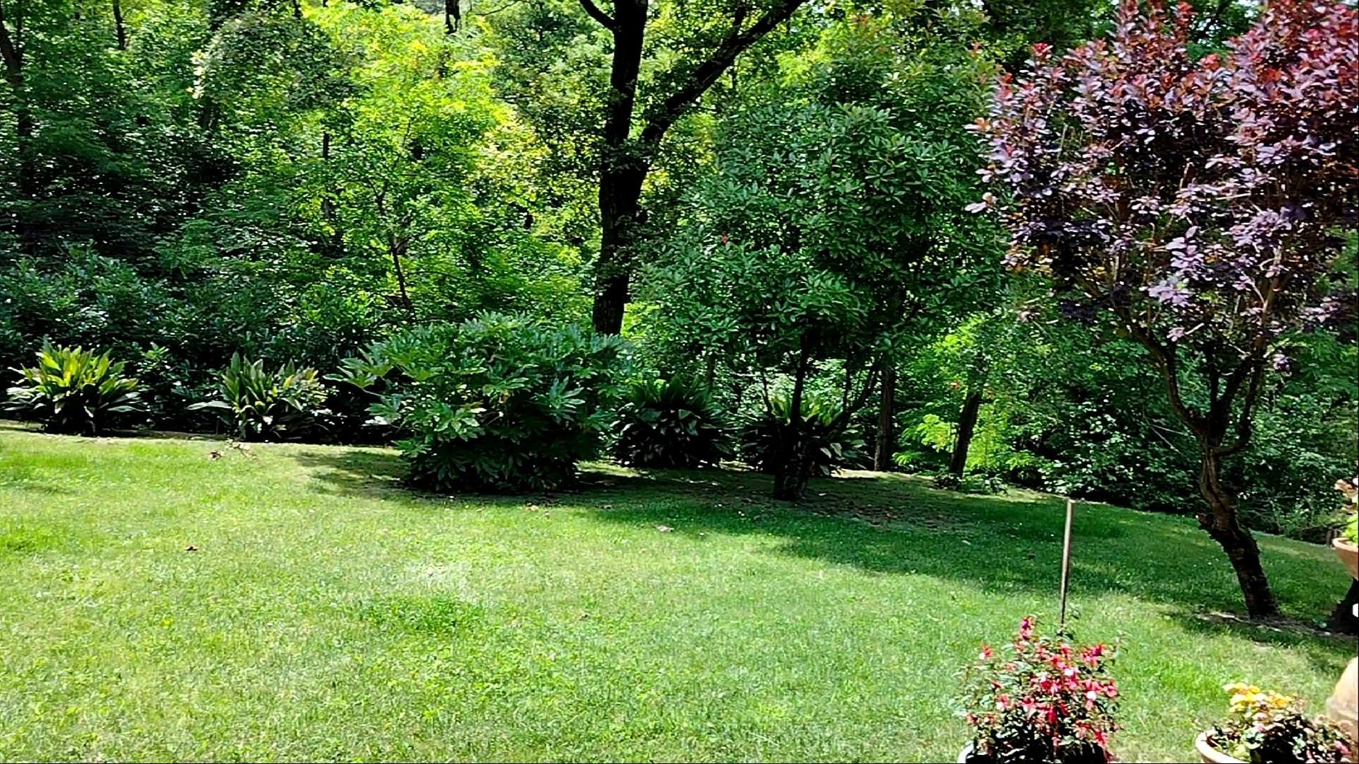 giardino che circonda la Villa