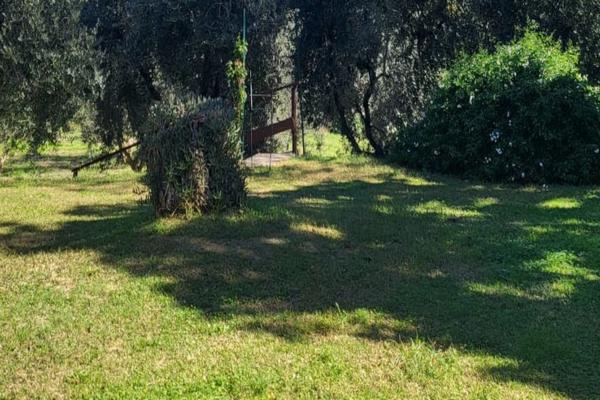 La Finestra sul Cortile 2