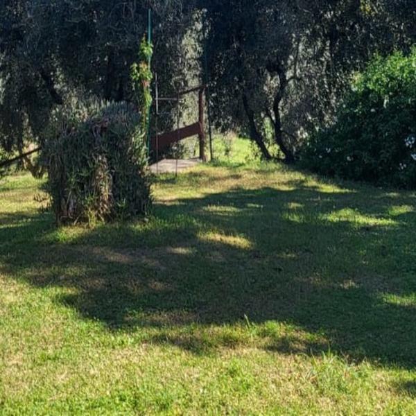  La Finestra Sul Cortile 2
