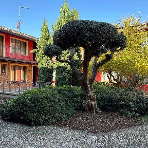  Bergamo Easy Airport Private Parking