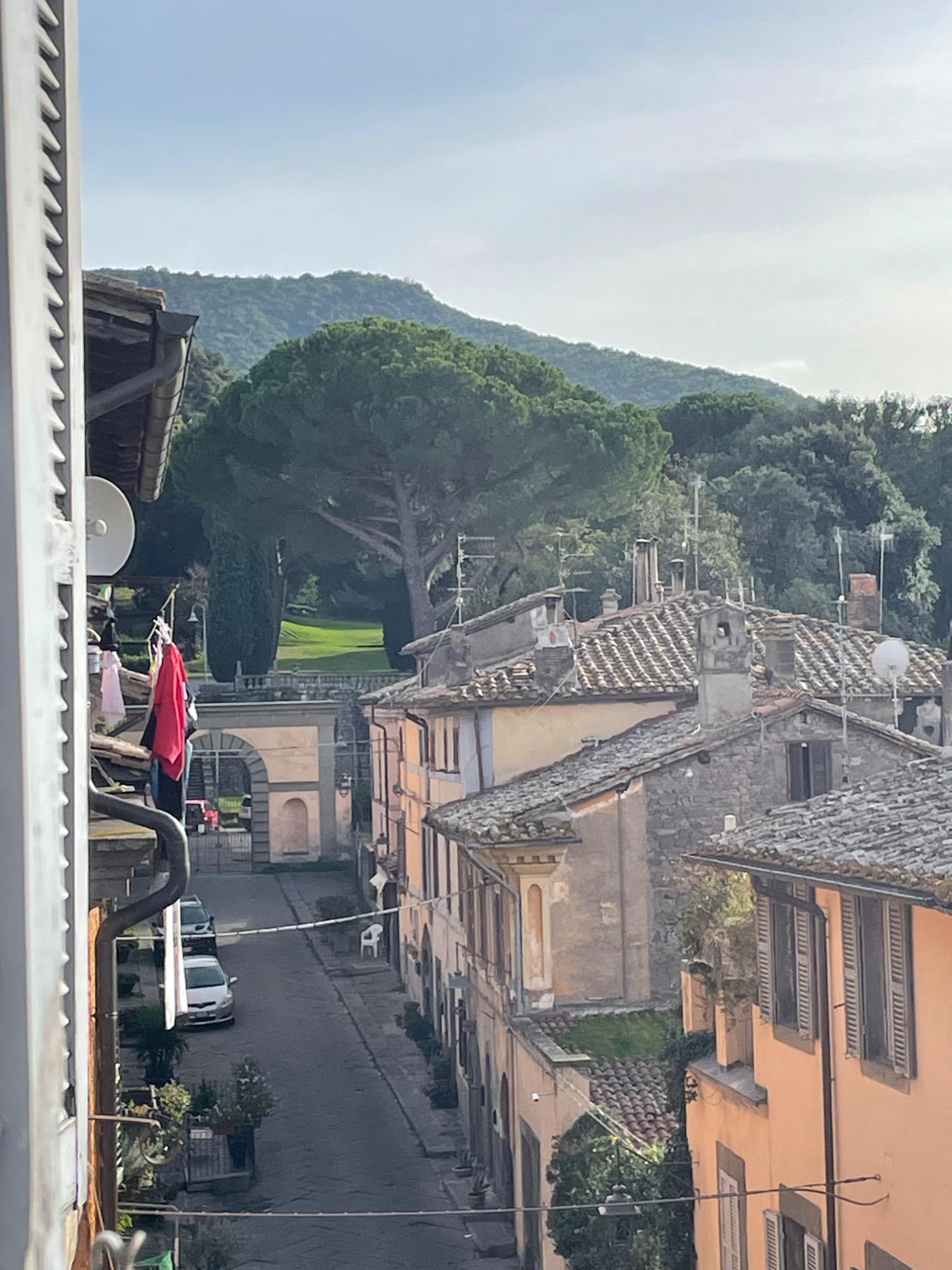 Vista dalla finestra