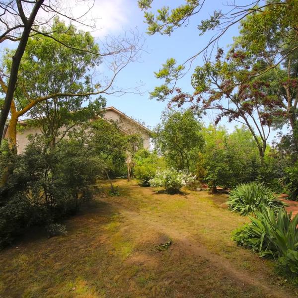  La Casa Nel Bosco