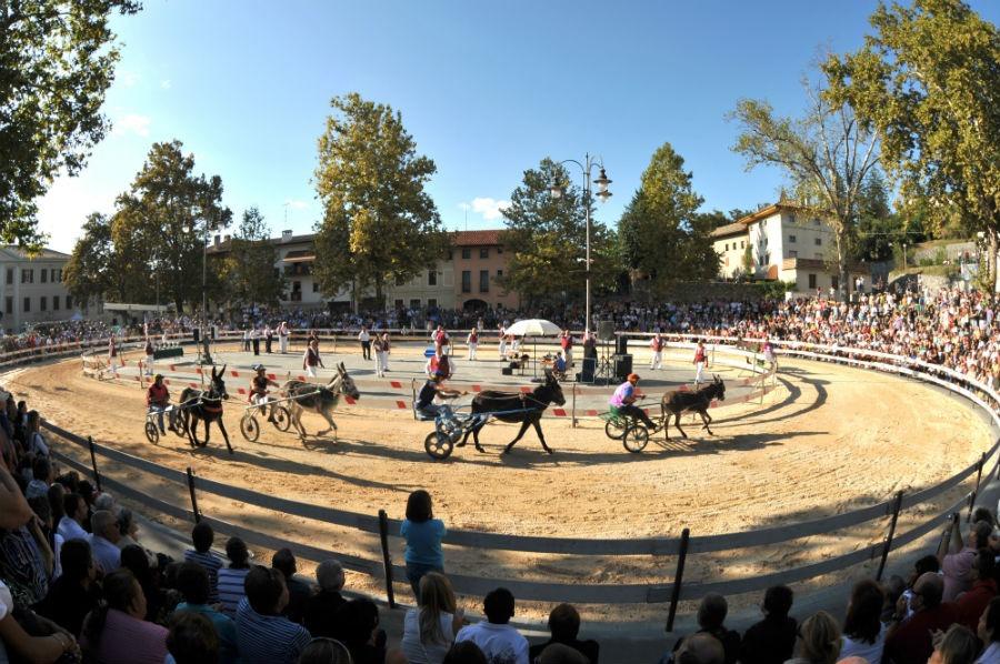 Fagagna corsa degli asini