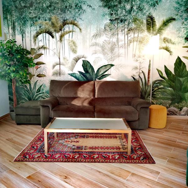  Jungle Sunshine Apartment