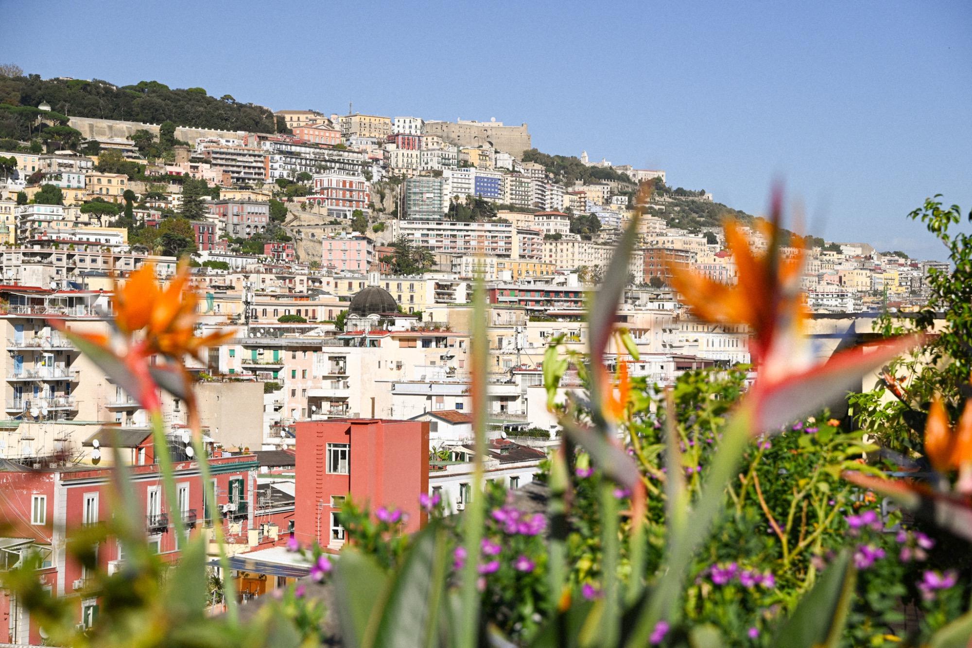 Suite con terrazza , dettaglio vista