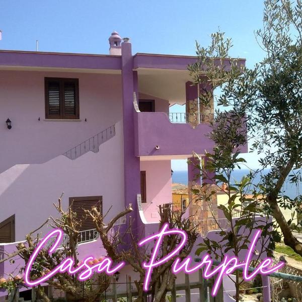  Casa Purple