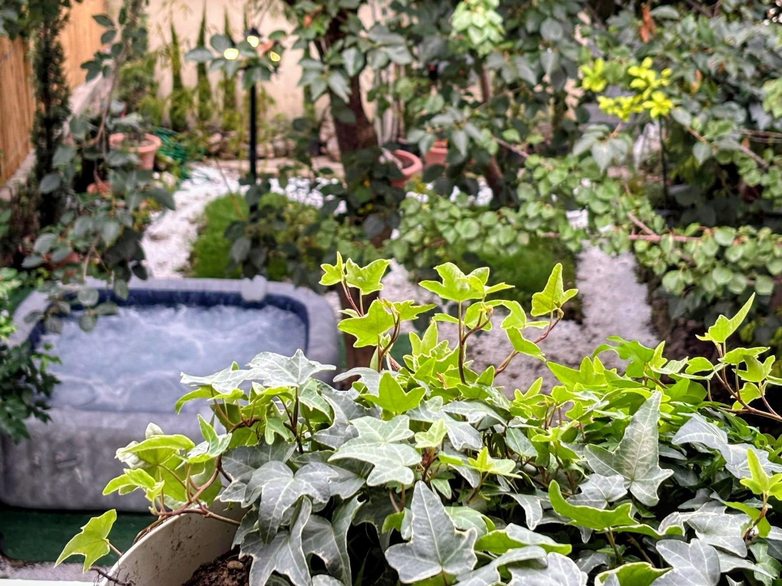 Vista sul giardino privato interno  con la fantastica piscina idromassaggio riscaldabile fino a 40 gradi