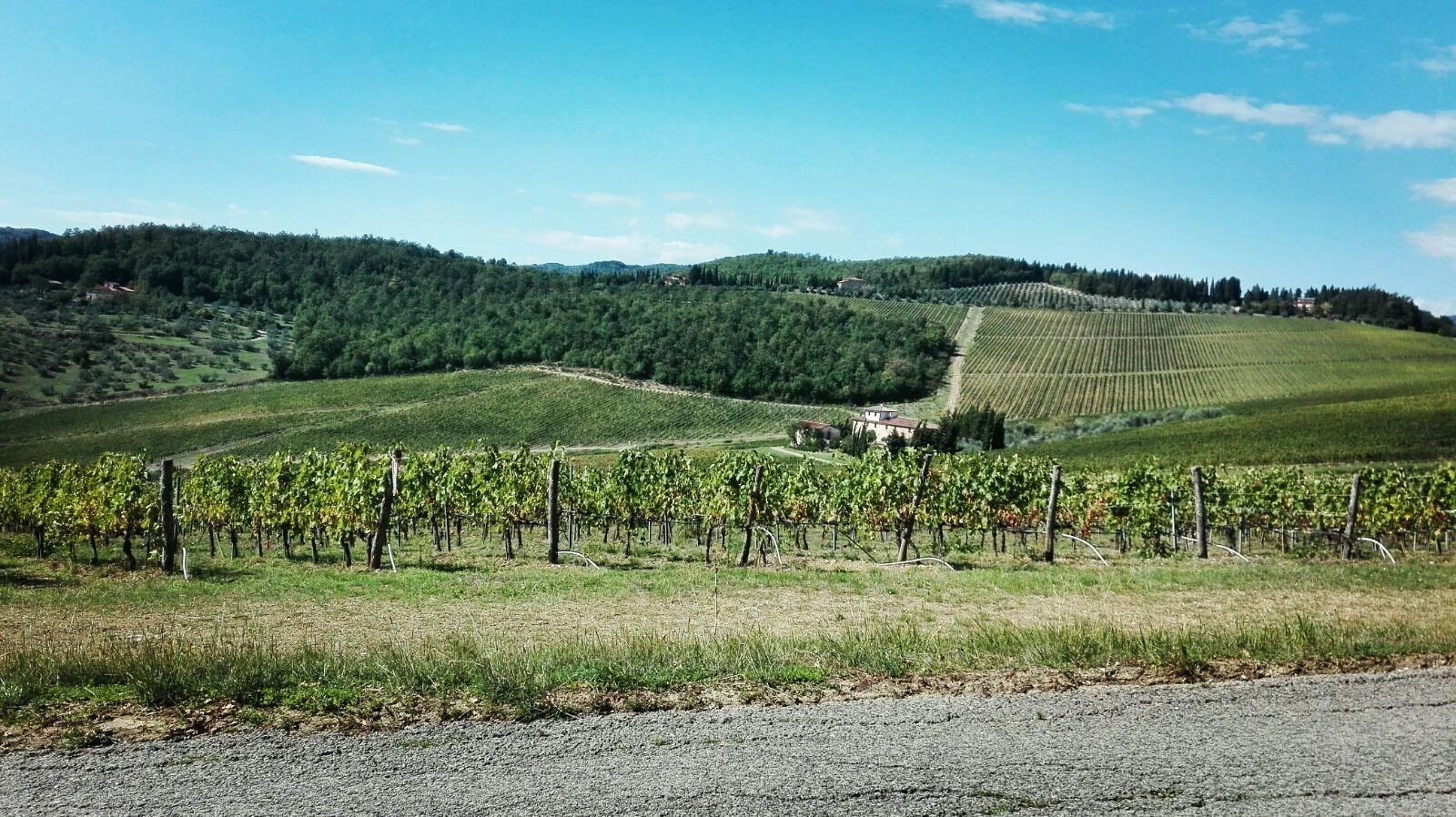 campagna intorno a Pontassieve