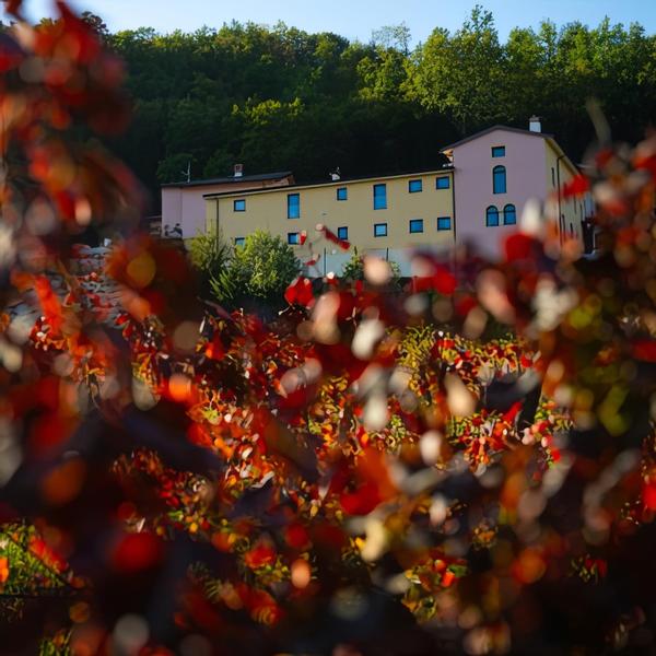  Ca Lovisotto Wines & Hospitality