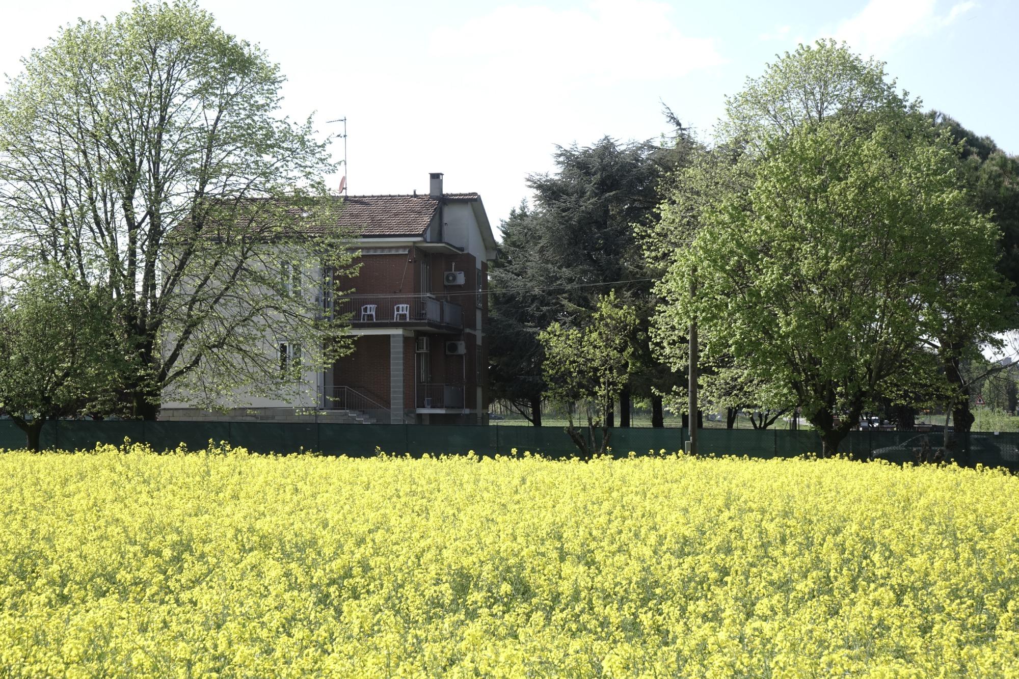 Arrivando dal paese di Castenaso con questa foto ci riconoscerete