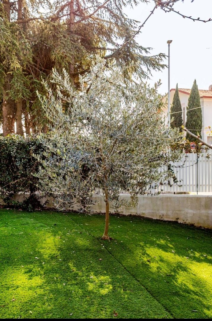 Piccoli dettagli giardino