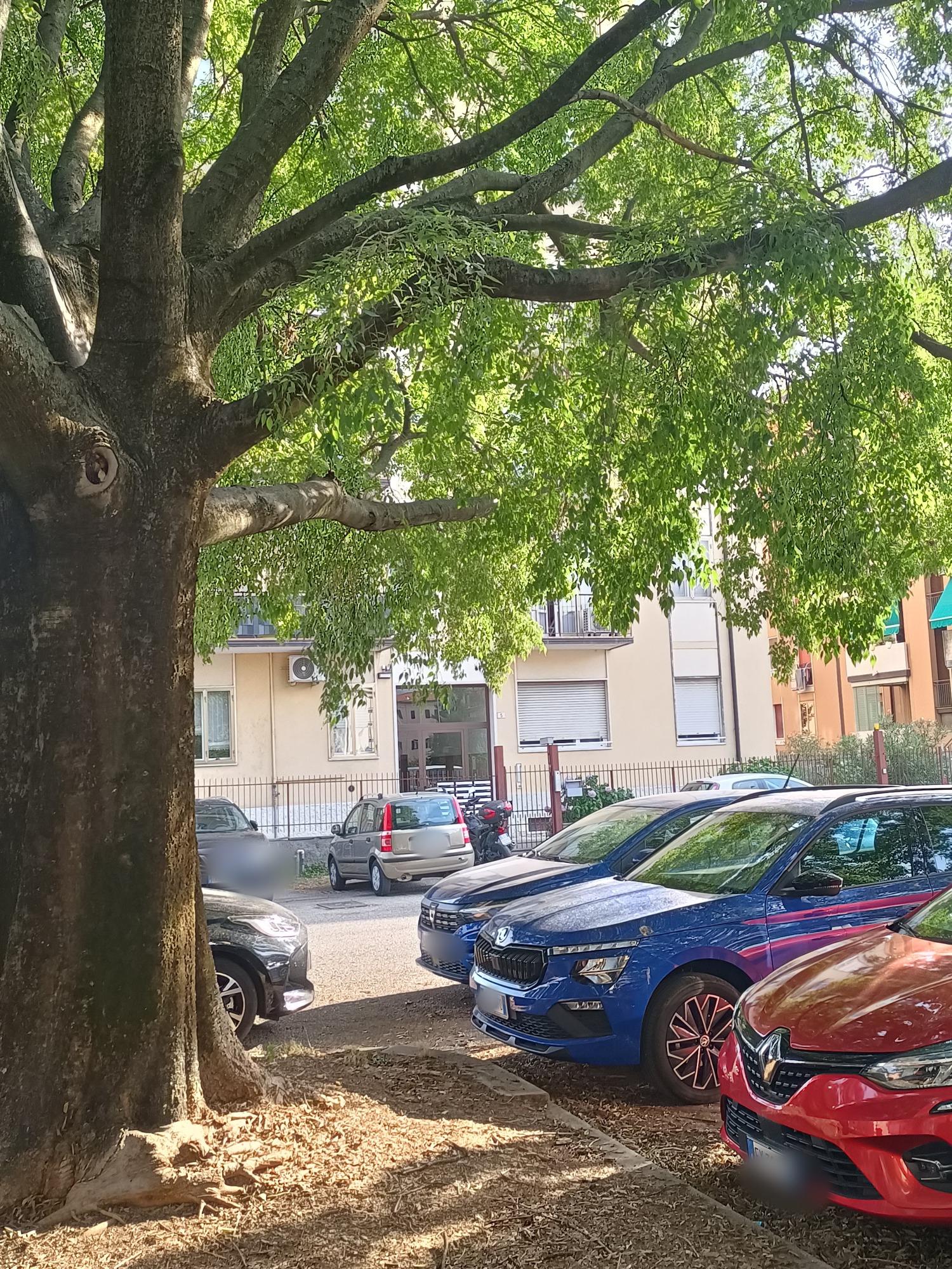 ampia disponibilità di parcheggio gratuito su strada