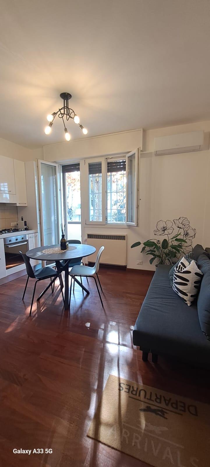 Ingresso su soggiorno con cucina attrezzata, d9ivano letto e balcone