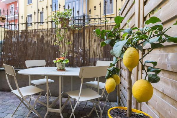 Quiet Garden - Costanza 4