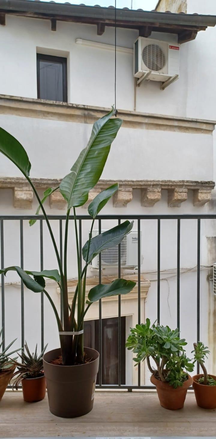 balconcino in soggiorno