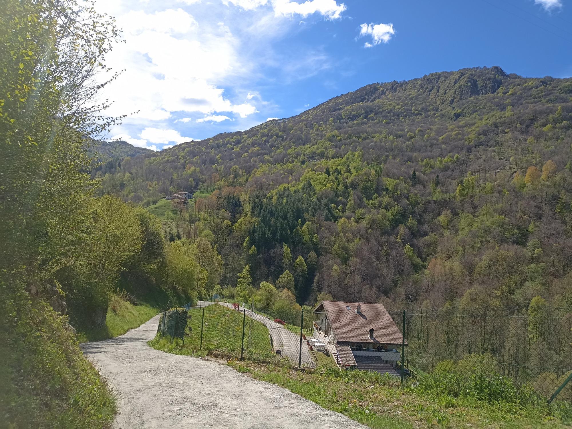 Un particolare della strada comunale nel suo ultimo tratto in discesa