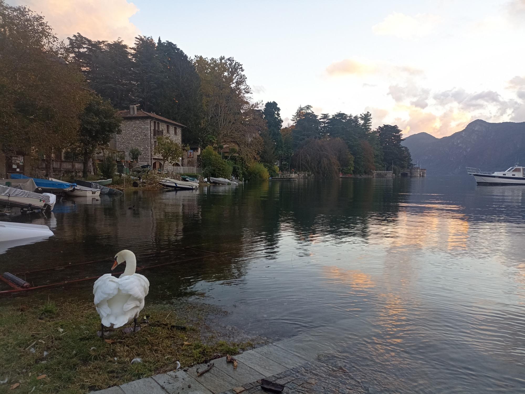 Lecco ed il Lago di Como sono ad appena 15 km da noi.