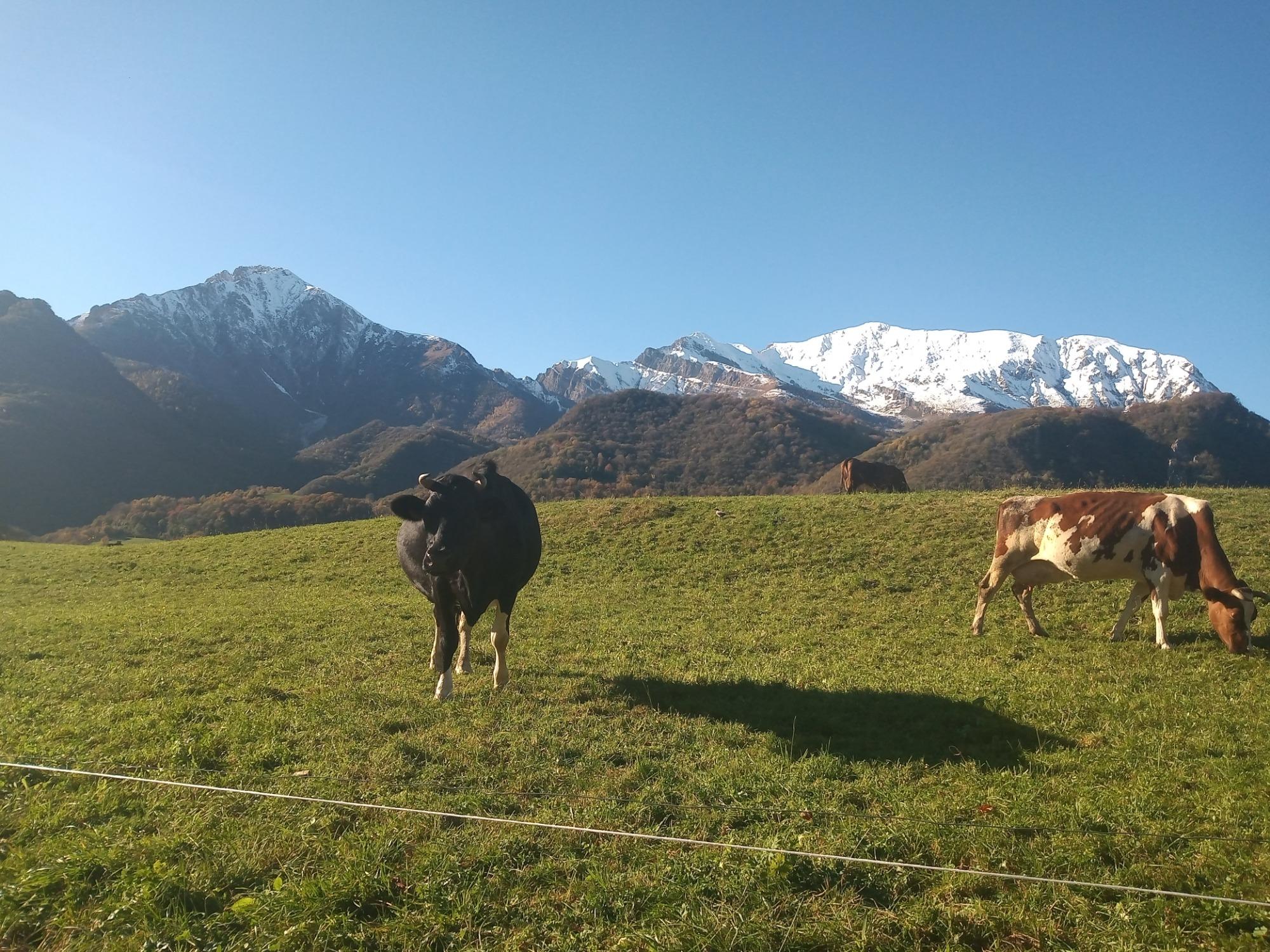 Il Gruppo delle Grigne tanto amato per le escursioni estive ed invernali.