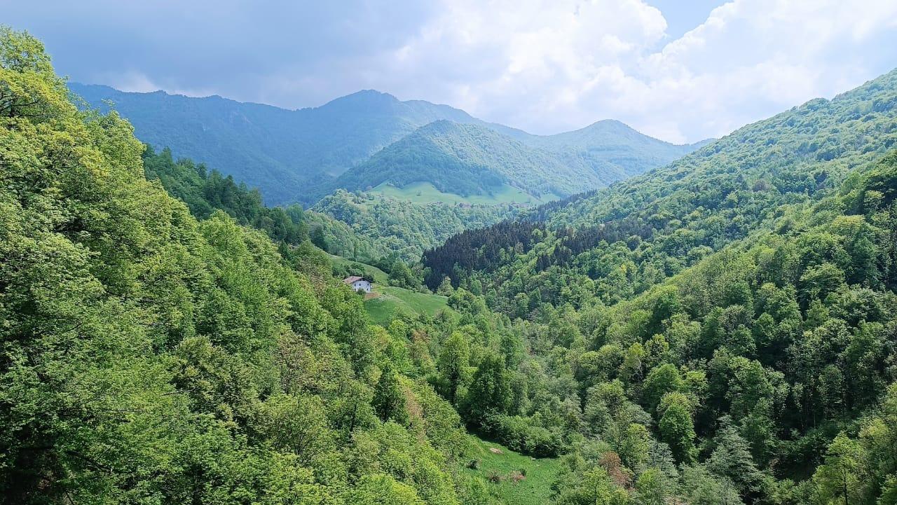 Immerso nel verde della Cornella, ecco il nostro B&B.