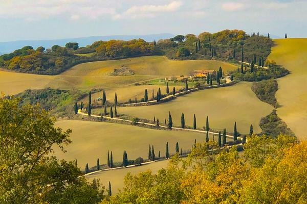 Vitalenta Agriboutique