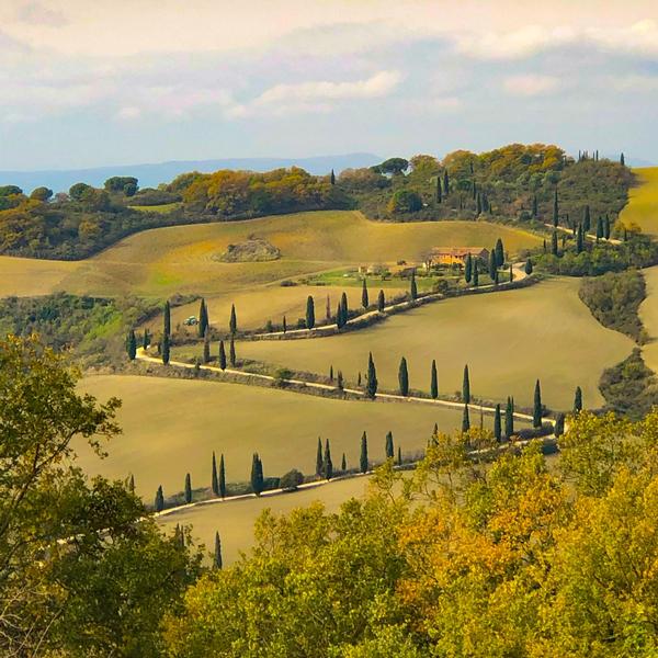  Vitalenta Agriboutique