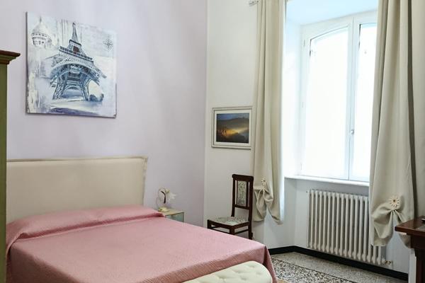 Contessa Alba