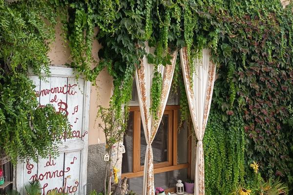 L'Armonica di Nonno Sandro