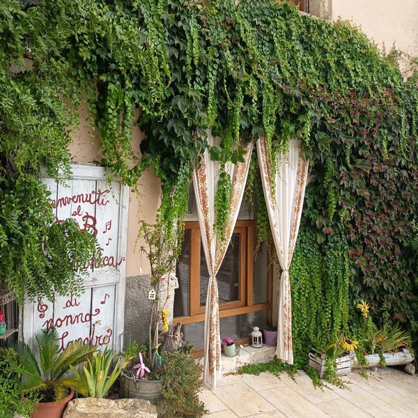  L'Armonica Di Nonno Sandro