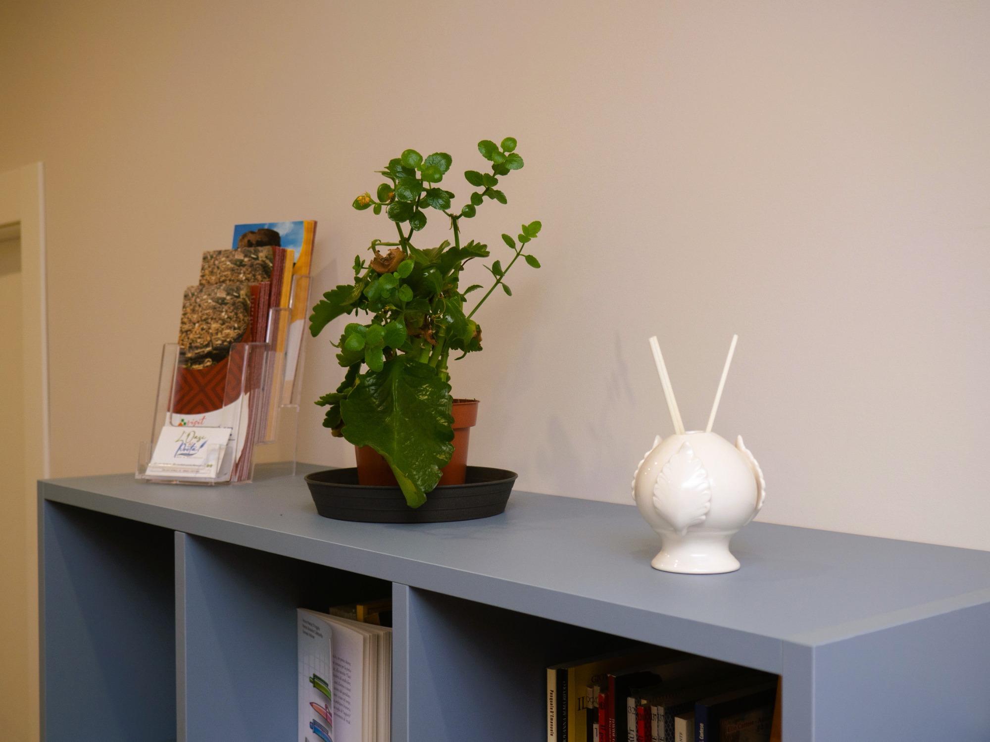 Dettaglio profumatore, pianta e volantini Crotone