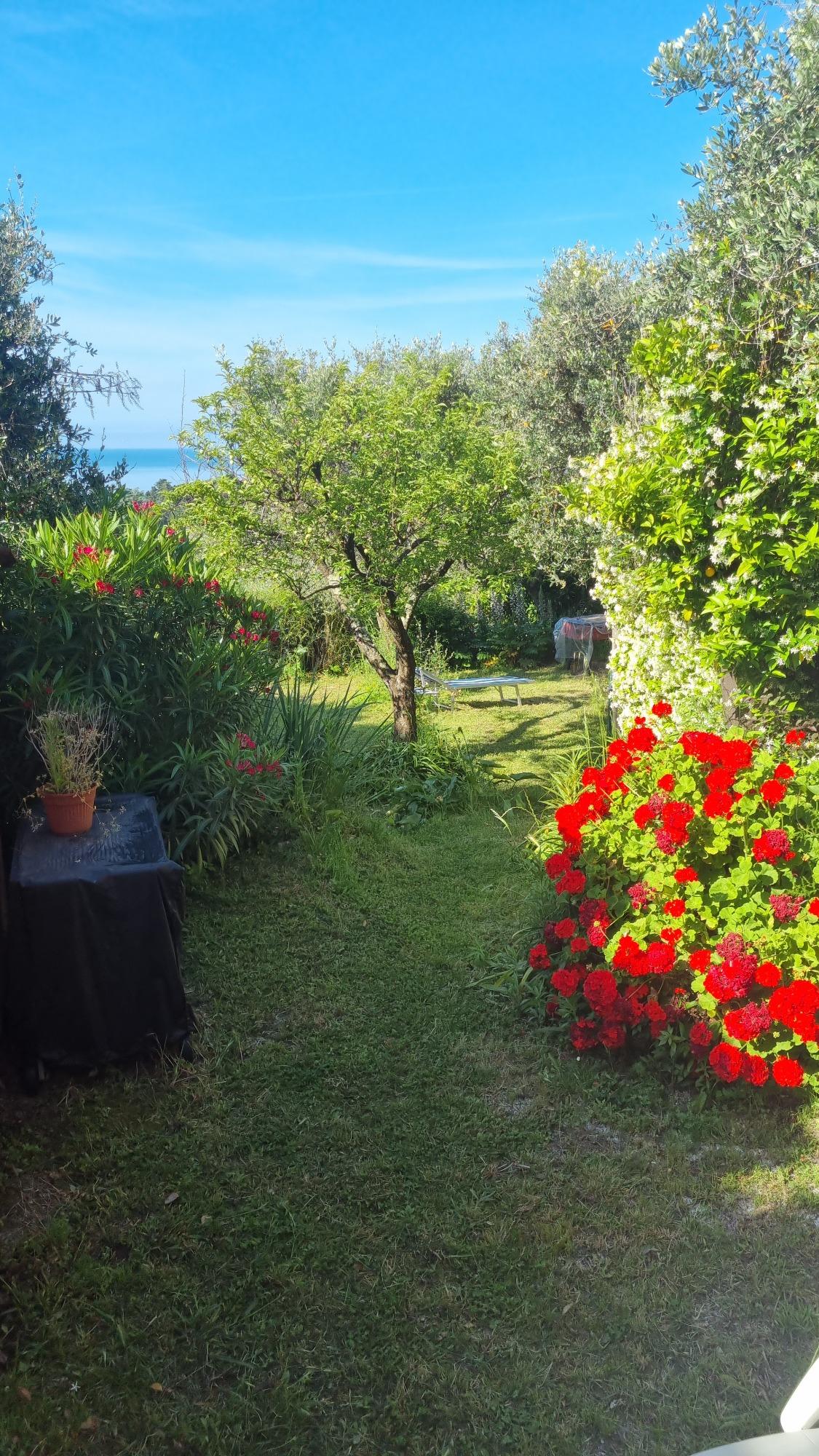 Giardino esterno con vista mare
