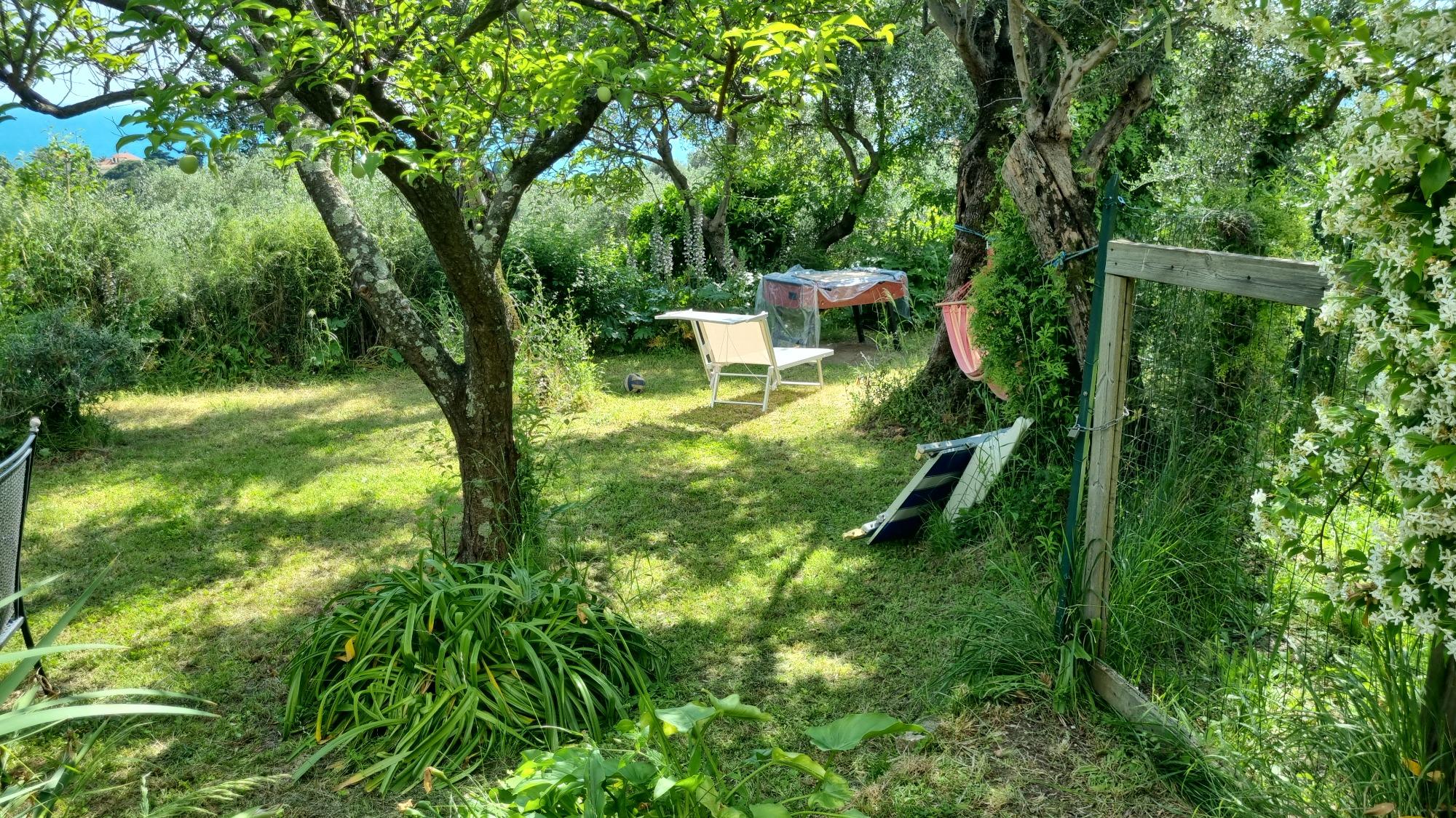 Giardino esterno con vista mare