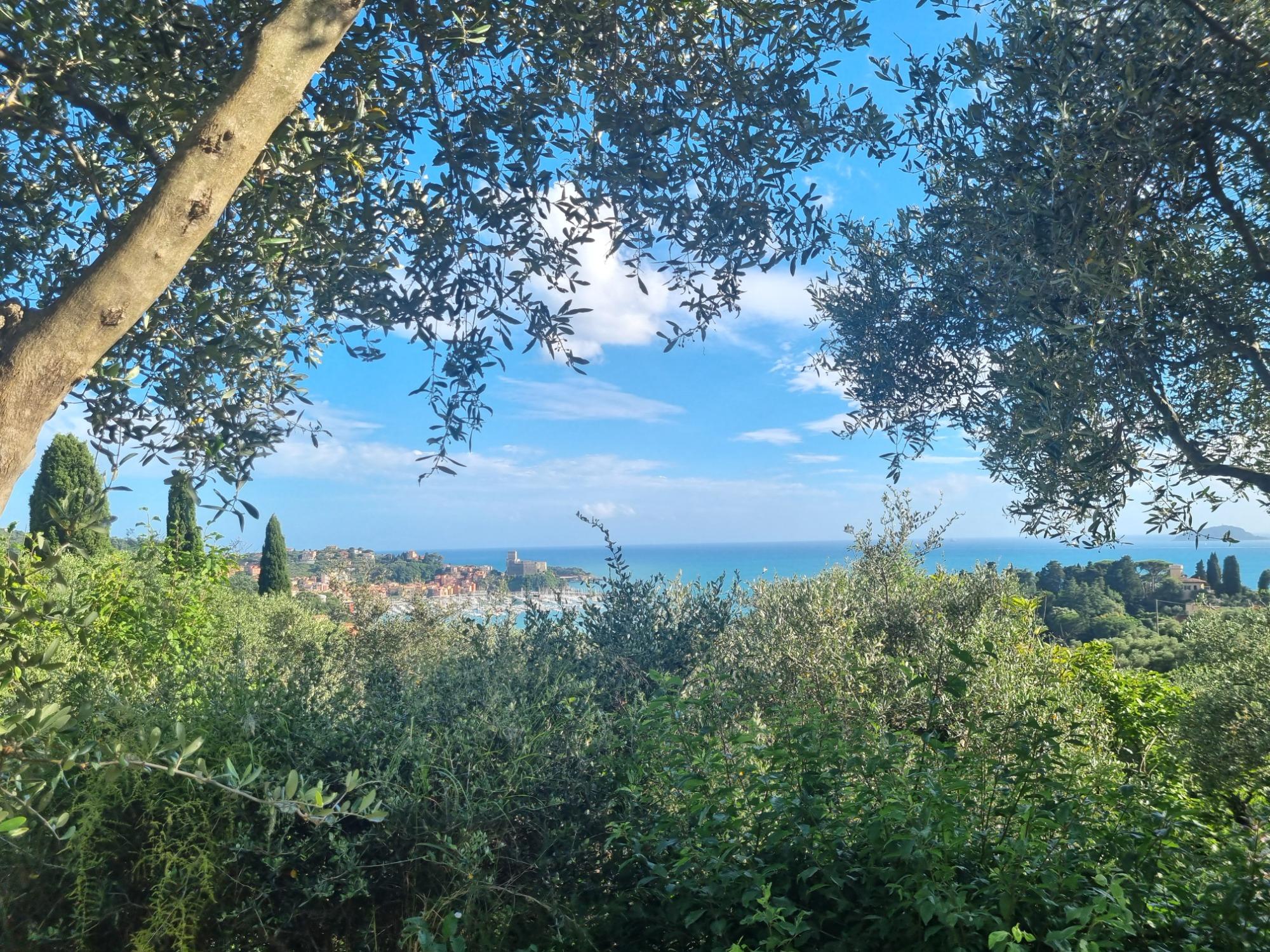 Giardino esterno con vista mare