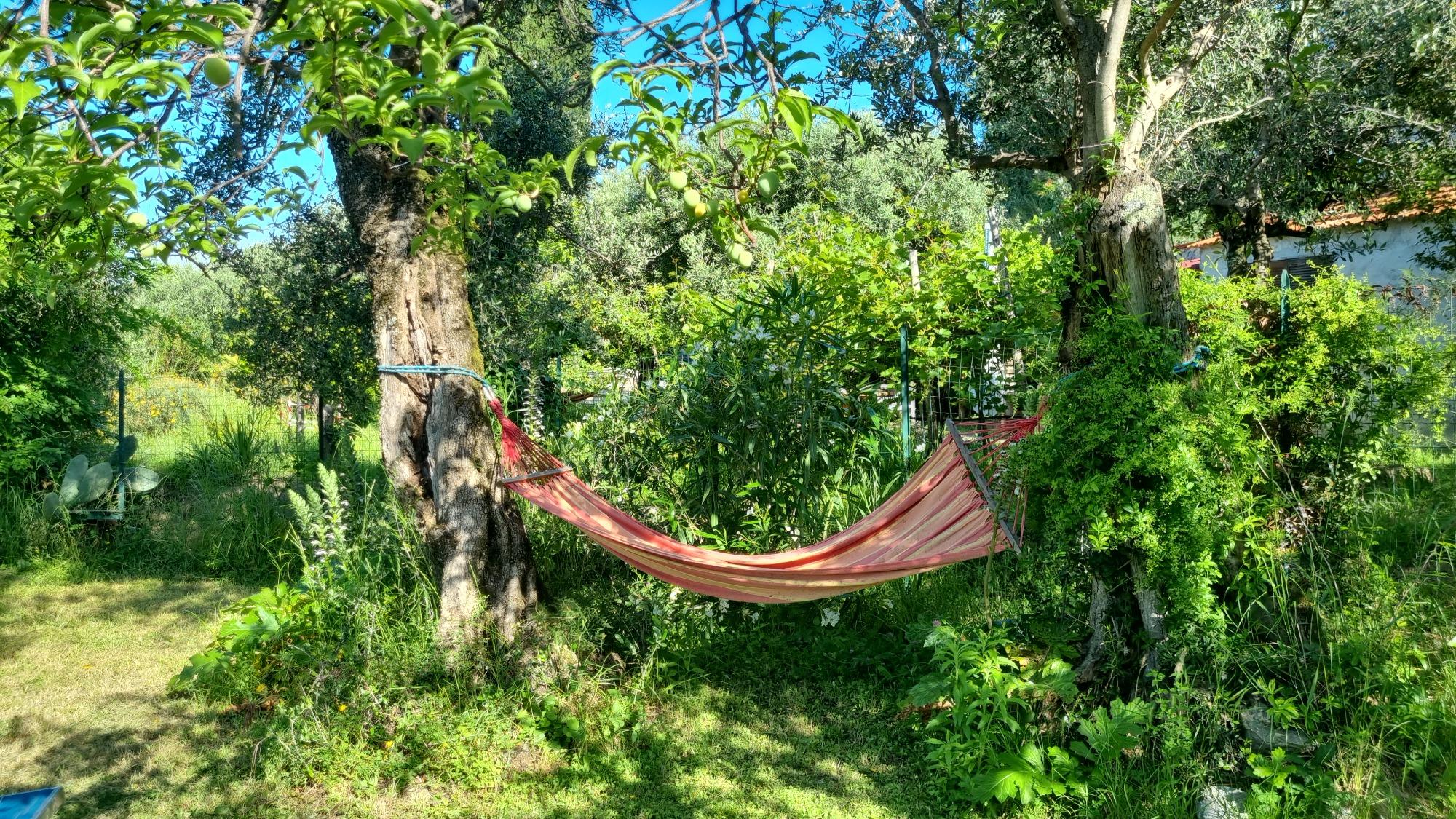 Giardino esterno con vista mare
