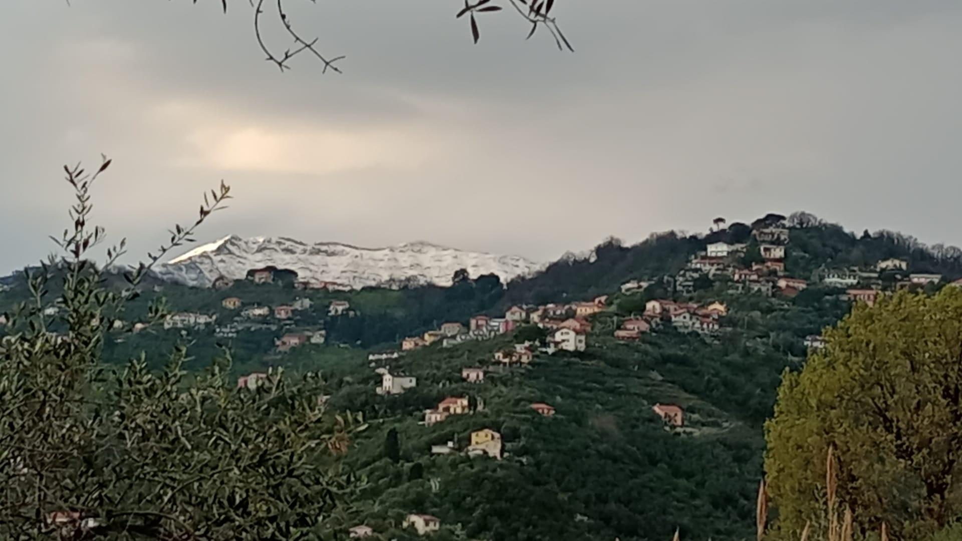casa-vacanze-chiavari-vista-ulivi.jpg