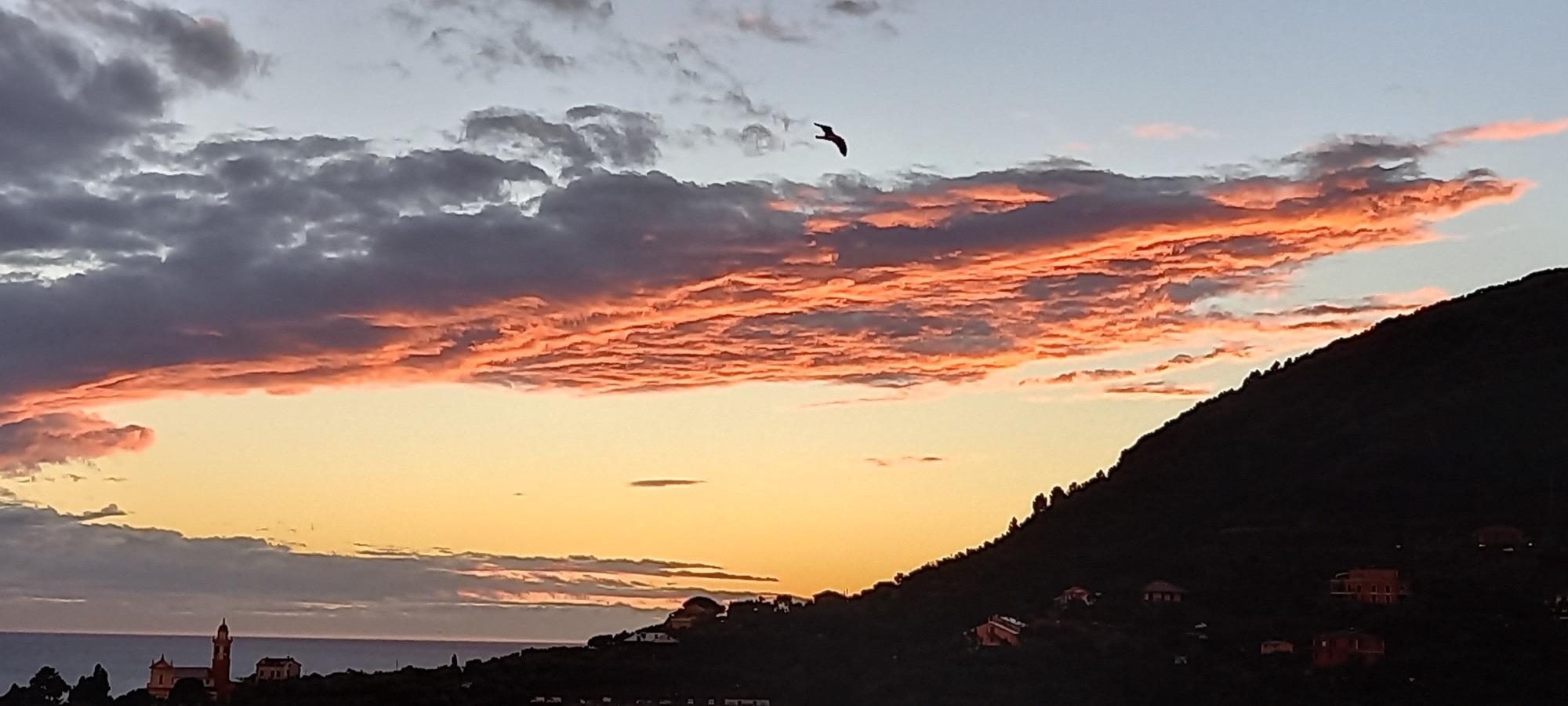 panorama dalla terrazza: tramonto