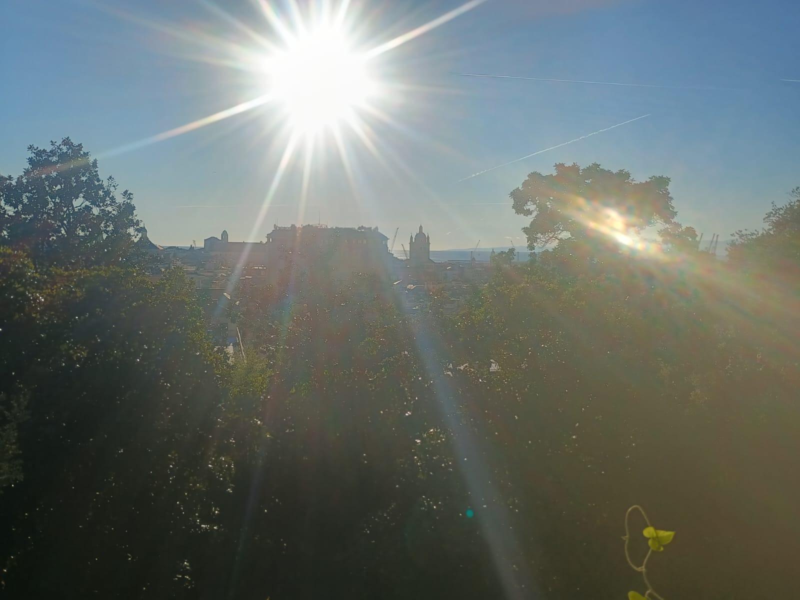 panorama