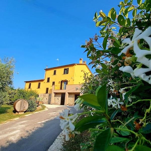  B&B Portico Di Paola