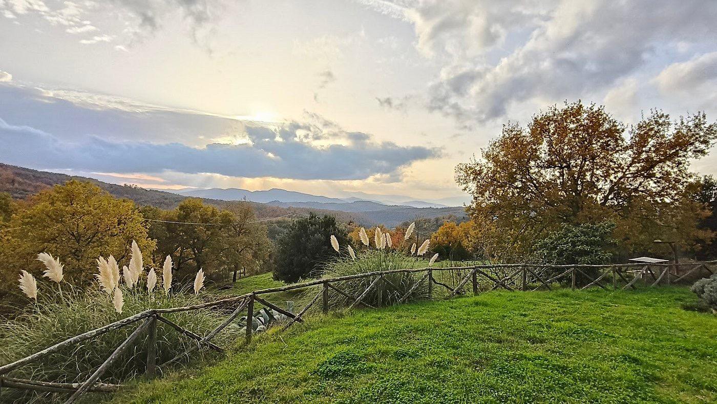 Natura a Podere Pietraluna