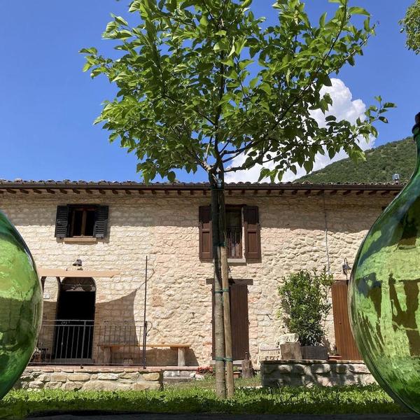  Ai Piedi Del Catria B&B Pradaccio