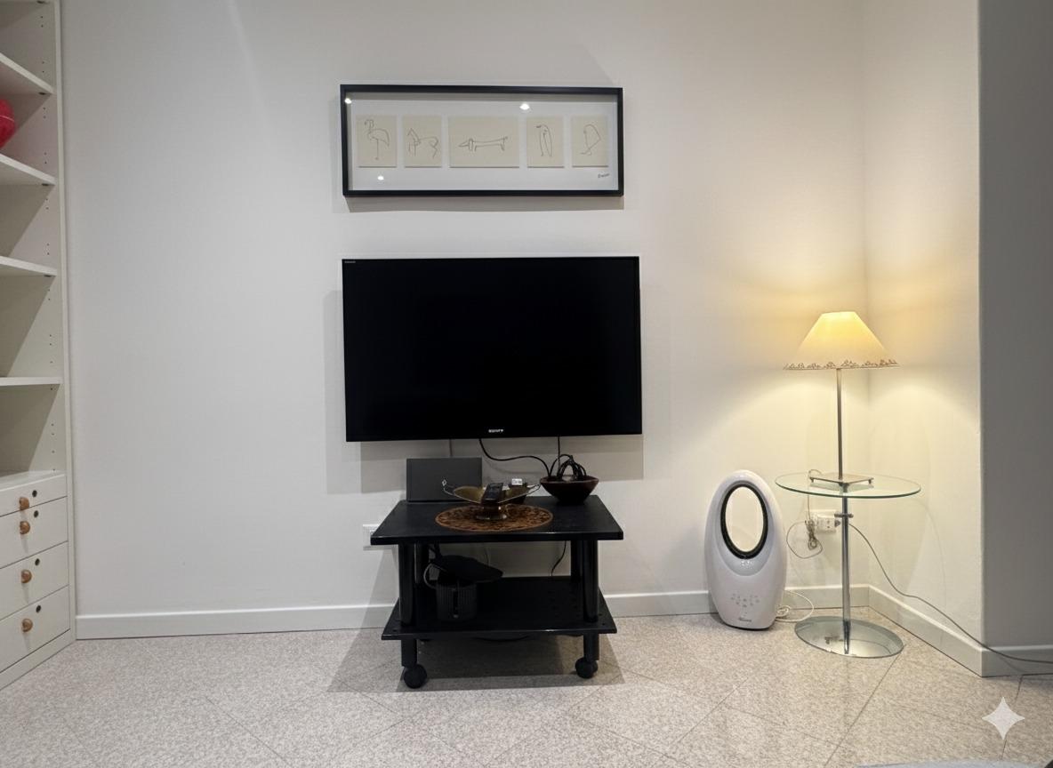 Stanza disimpegno con TV e divano a letto alla francese (una piazza e mezzo)