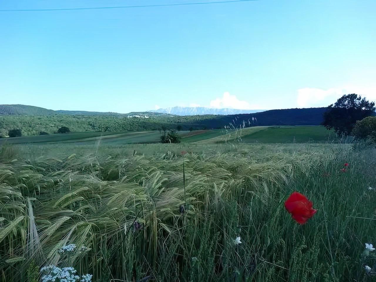 Dintorni
