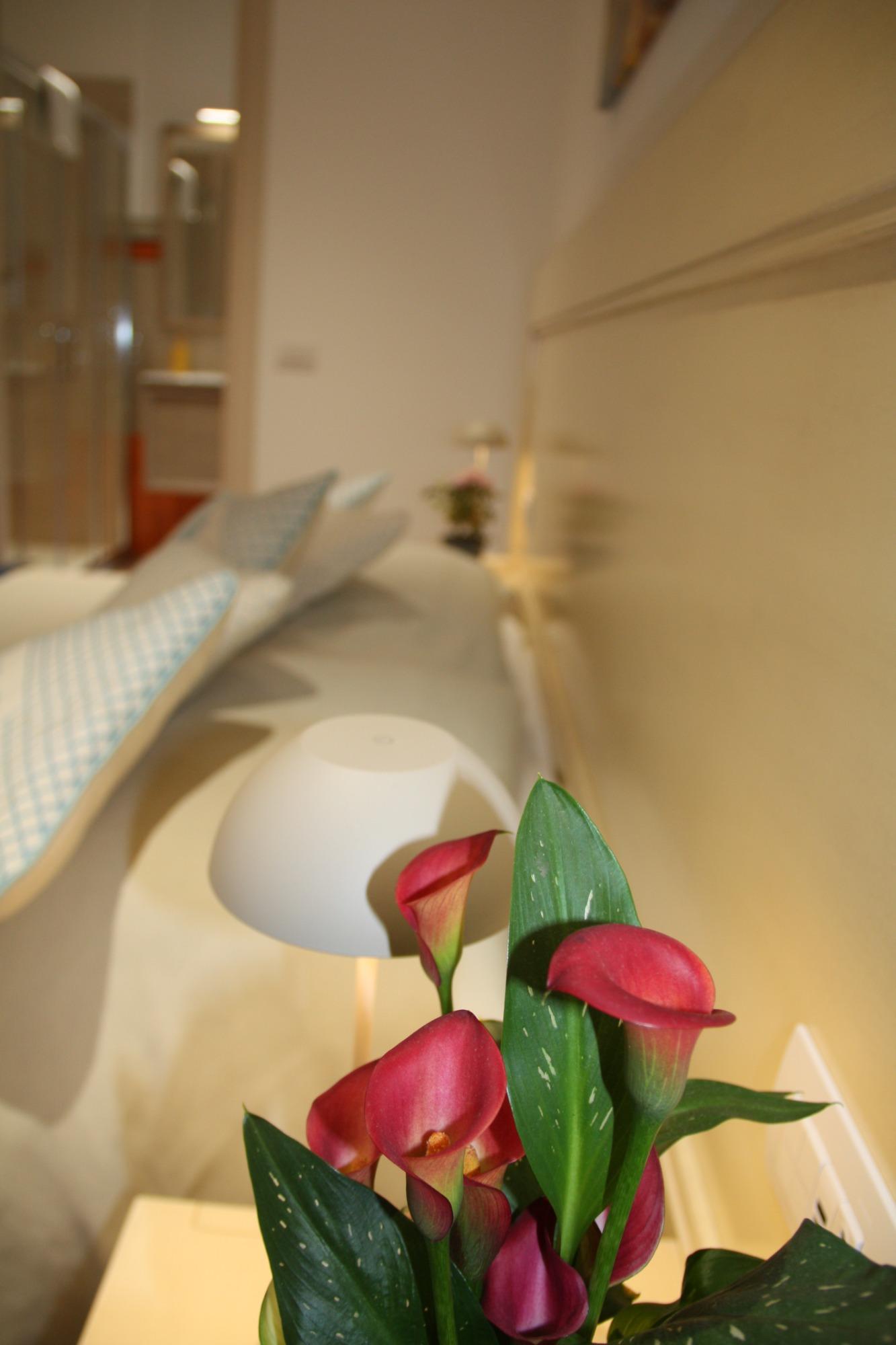 Dettaglio camera comfort