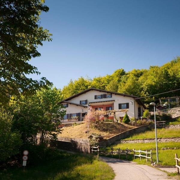  Foresteria Botton D'Oro