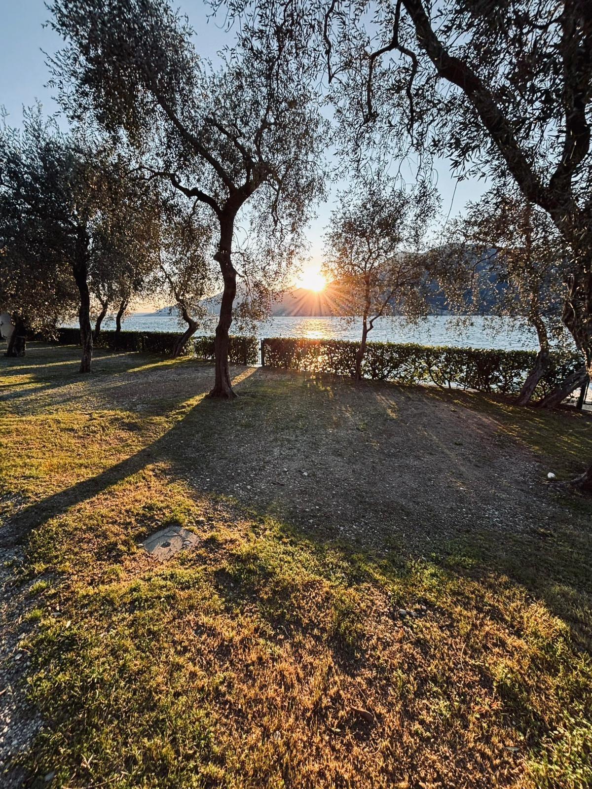immersa nel verde fronte lago