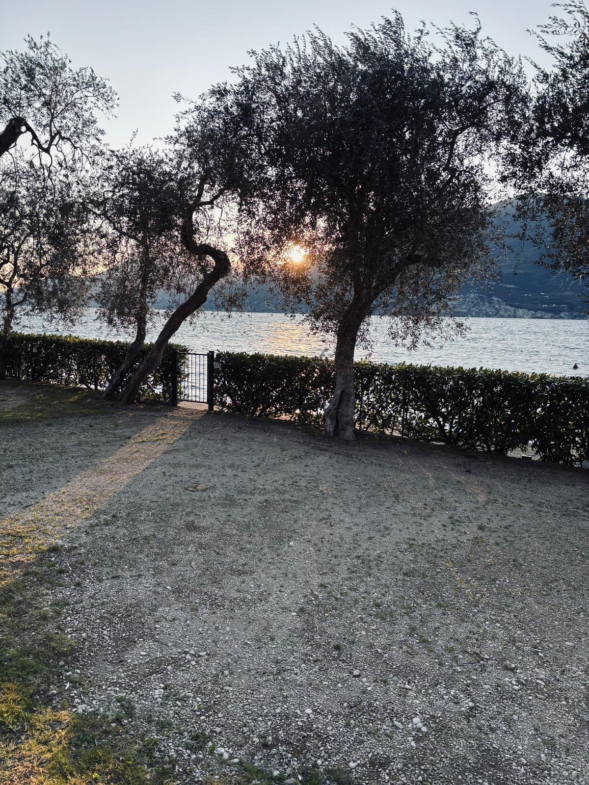 immersa nel verde fronte lago