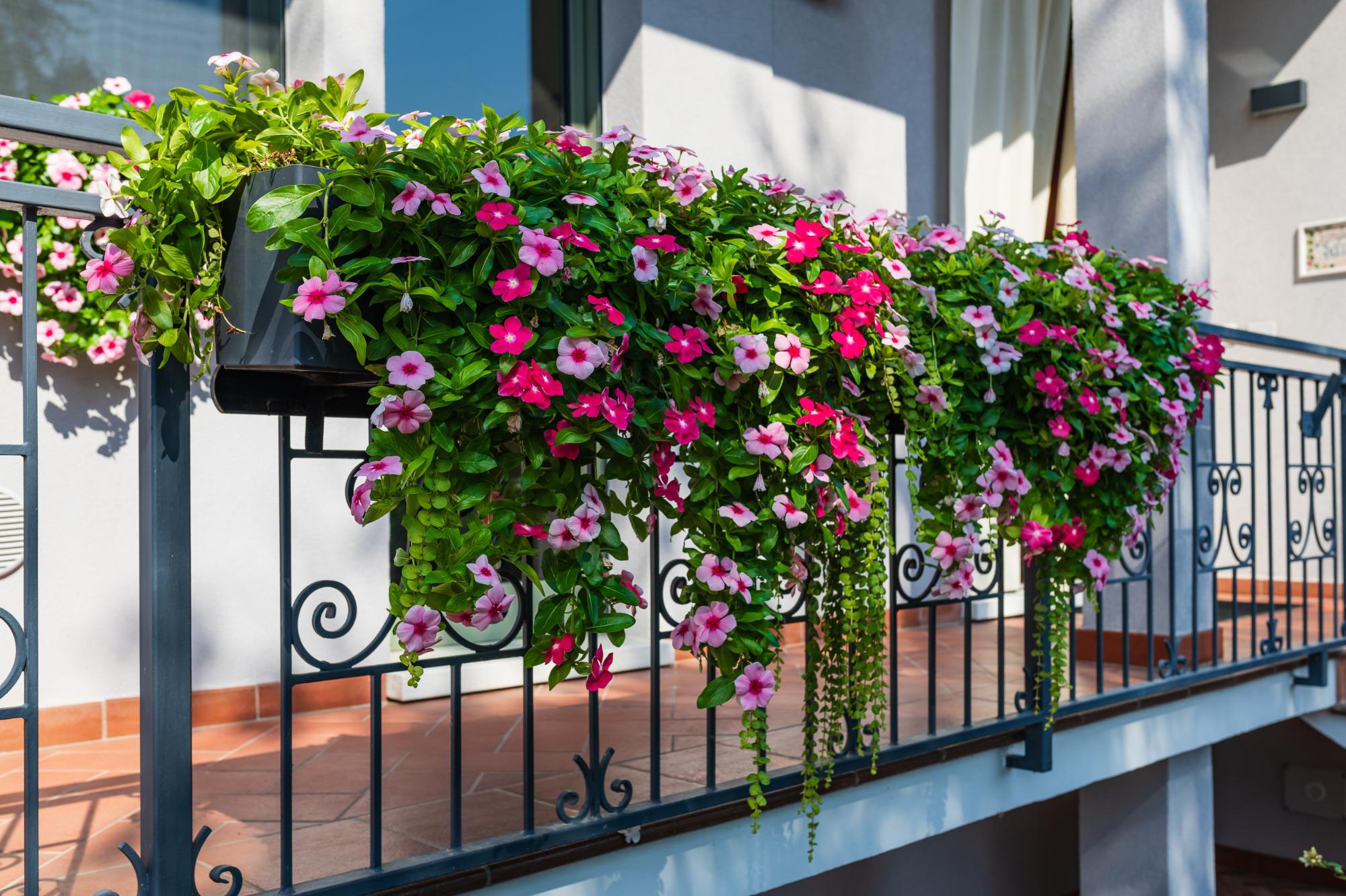 Balcone di casa fiorito