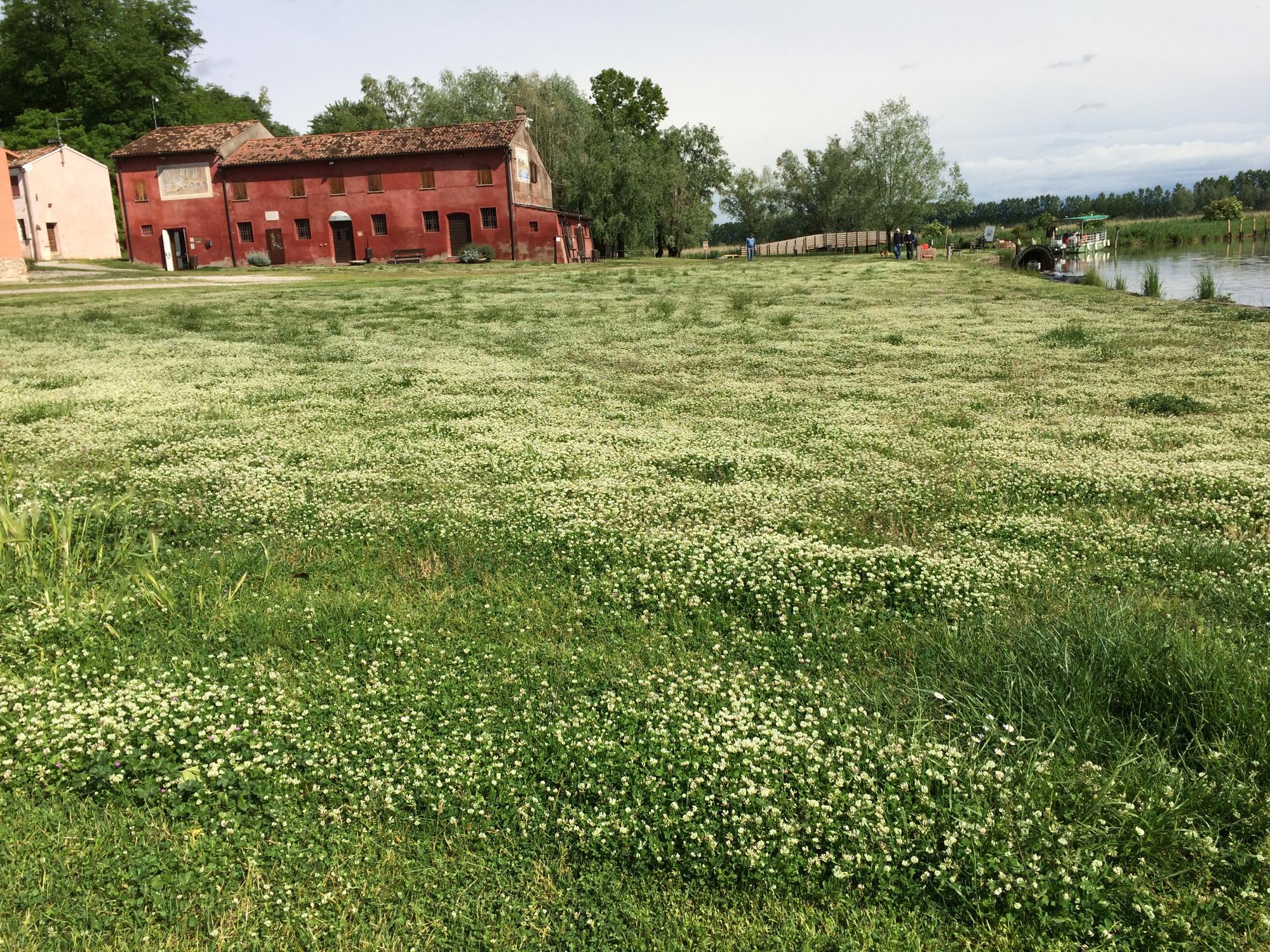 Porticciolo di Rivalta sul mincio