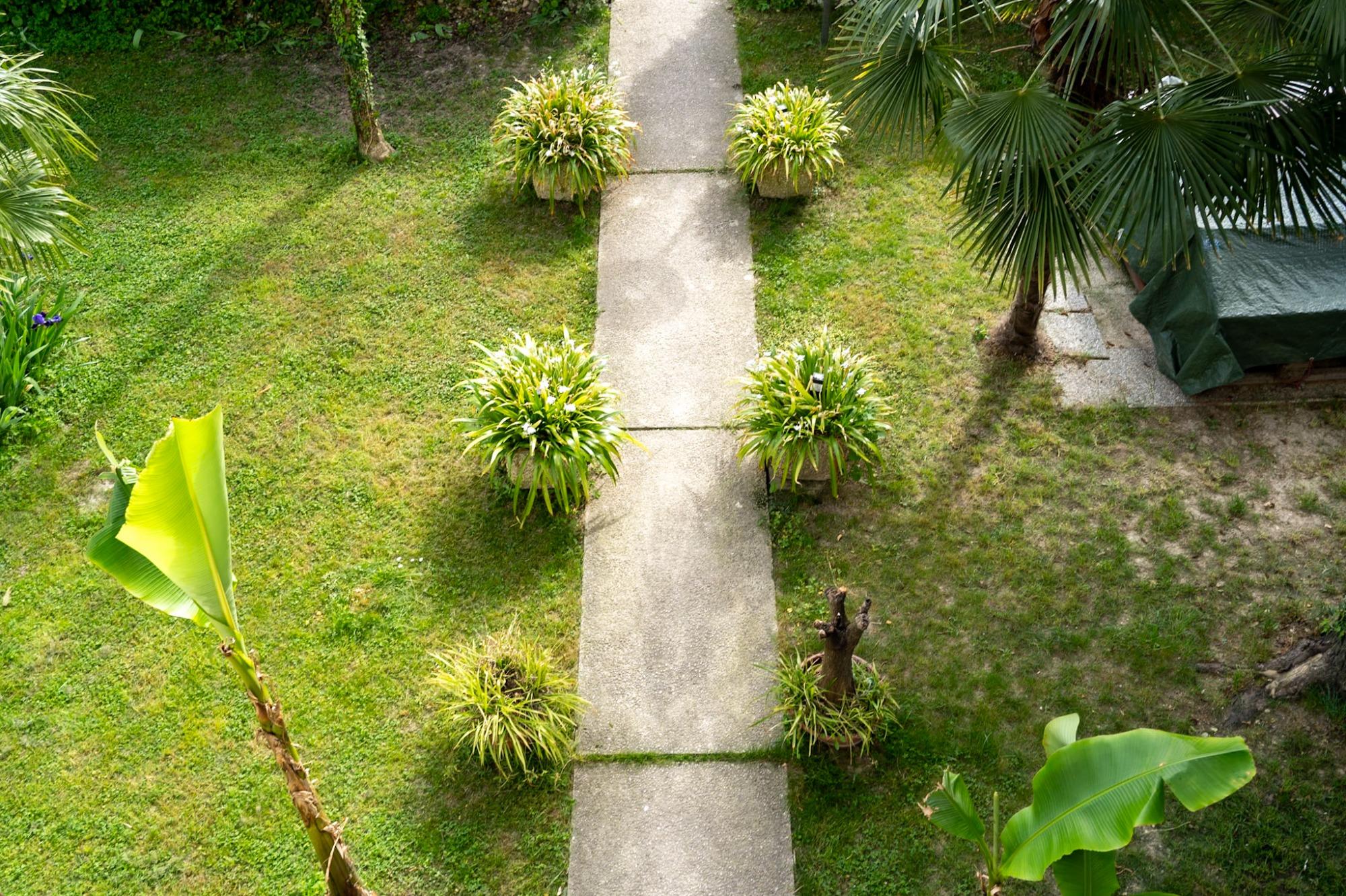 Scorcio del giardino posteriore